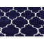 Scottsville Shaggy Navy Blue/Ivory Rug-781666620