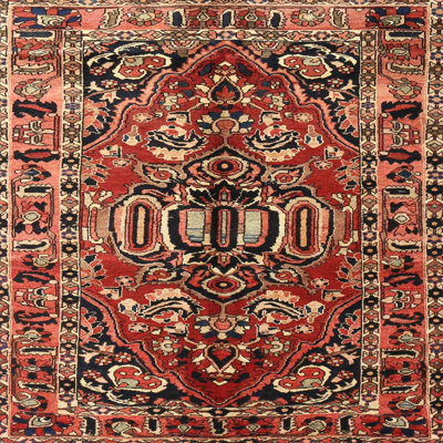 Oriental Indoor Rug