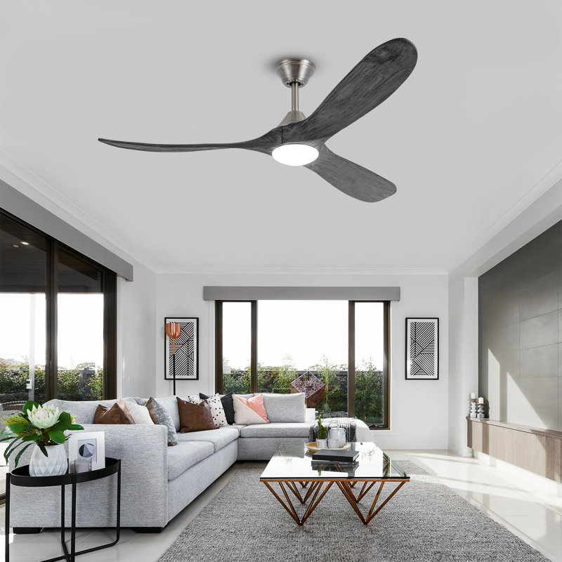 Christela Netrapal Ceiling Fan with LED Lights, 52"