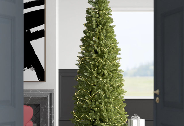 Budget-Friendly Christmas Trees