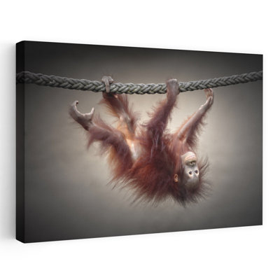 Playful Baby Orangutan Contemporary Monkey Wall Art Print 1 Piece Wrapped Canvas Wall Art