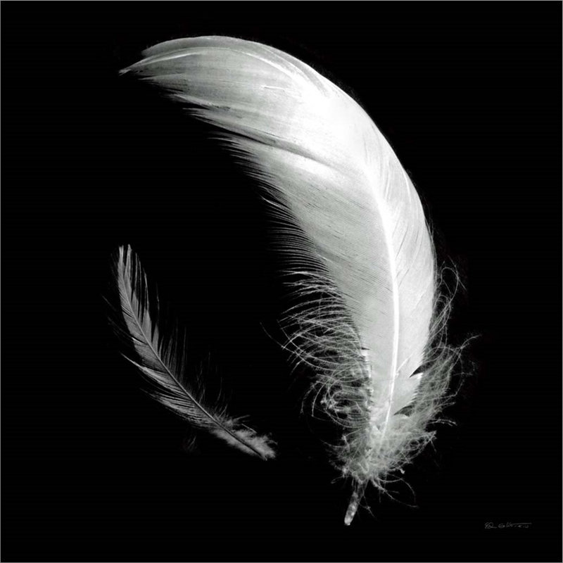 «Dream Feathers Sq» par Ed Goldstein - reproduction sur toile tendue
