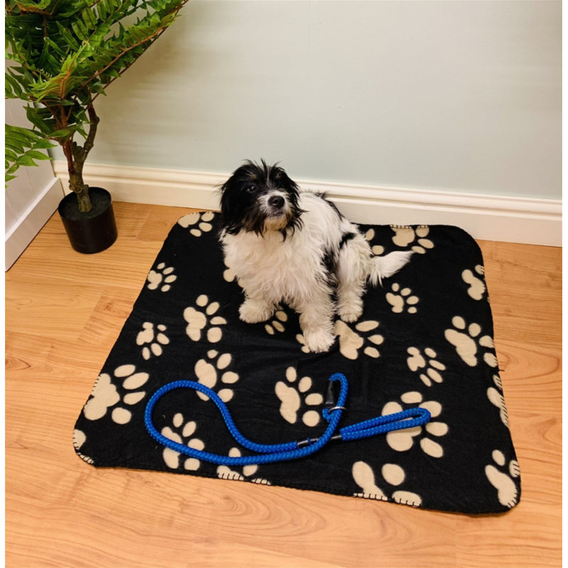 Paw Print Fleece Throw, Black, W70 x L80cm