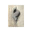 Seashells In Neutral I Painting by Guseul Park-26938895-26938893
