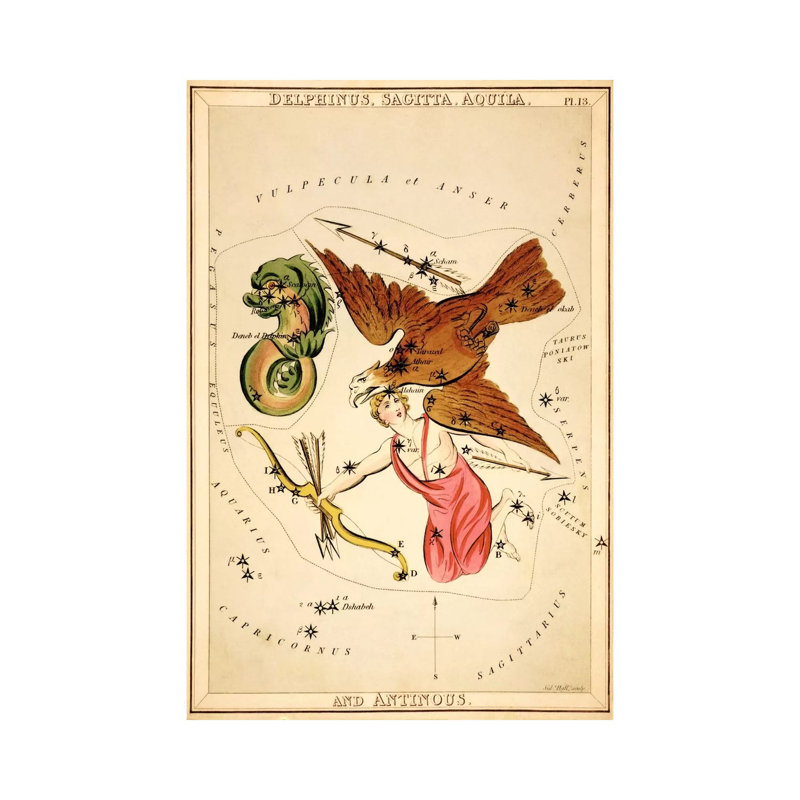 Delphinus, Sagitta, Aquila, And Antinous by Sidney Hall - Wrapped Canvas Gallery-Wrapped Canvas Giclée
