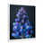 White Single Picture Framed Canvas