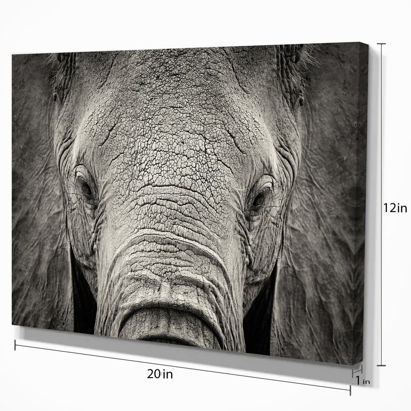 Gros plan sur un éléphant d'Afrique - reproduction de photo sur toile tendue, H 20 po x l 20 po x P 1 po