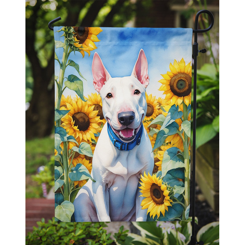 Lévrier irlandais dans le drapeau du jardin de tournesols, Bull terrier anglais