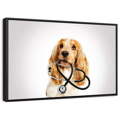 Animal «Doctor Dog»