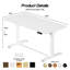 Steel Standing Desk
