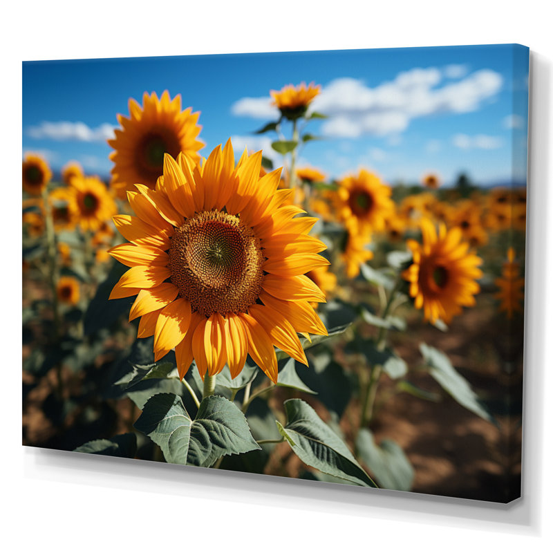 Tournesols jaune champ vibrant II, H 24 po x l 32 po x P 1 po, Toile tendue