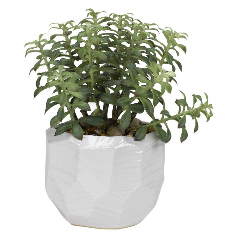 12'' Faux Tree Succulents Plant in Ceramic Pot