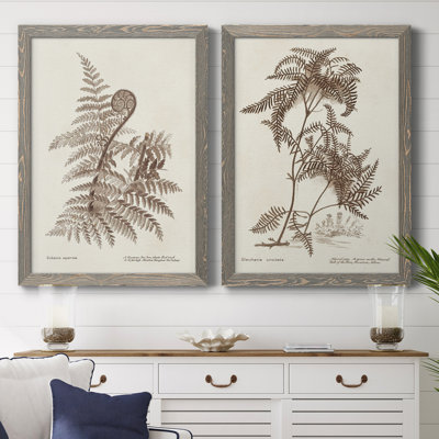 Sépia fougères Variétés I, toile encadrée de qualité supérieure - prête à être accrochée