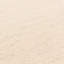 Buckmiller Plain Moroccan Machine Woven Cream Area Rug-1657098024