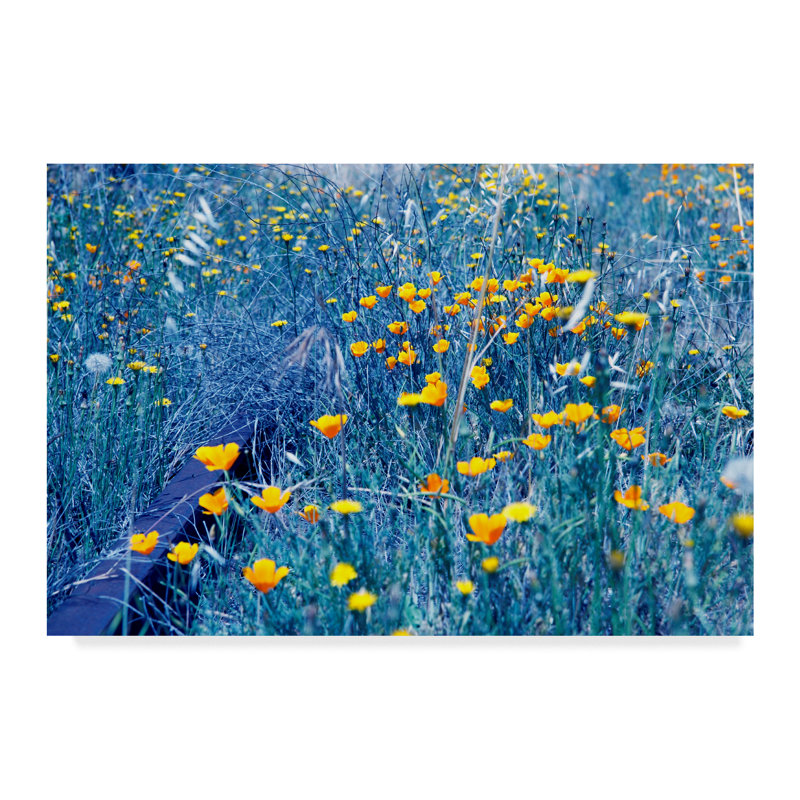 «Yellow Buttercup» de Yareny, reproduction de photo sur toile tendue, H 30 po x l 47 po x P 2 po