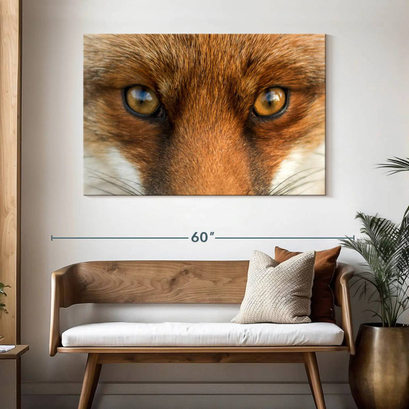 Amber Eyed Fox, 32" H x 48" W