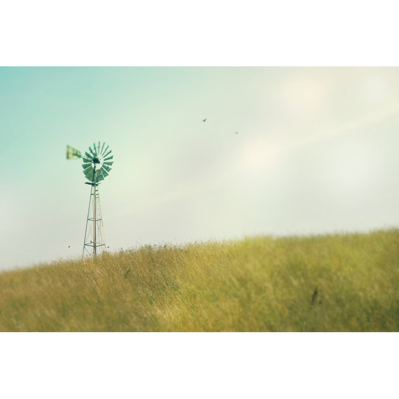 Farm Morning IV by Sue Schlabach - Wrapped Canvas Print, 61cm H x 91cm W
