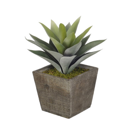 Plante grasse artificielle de bureau artificielle en pot