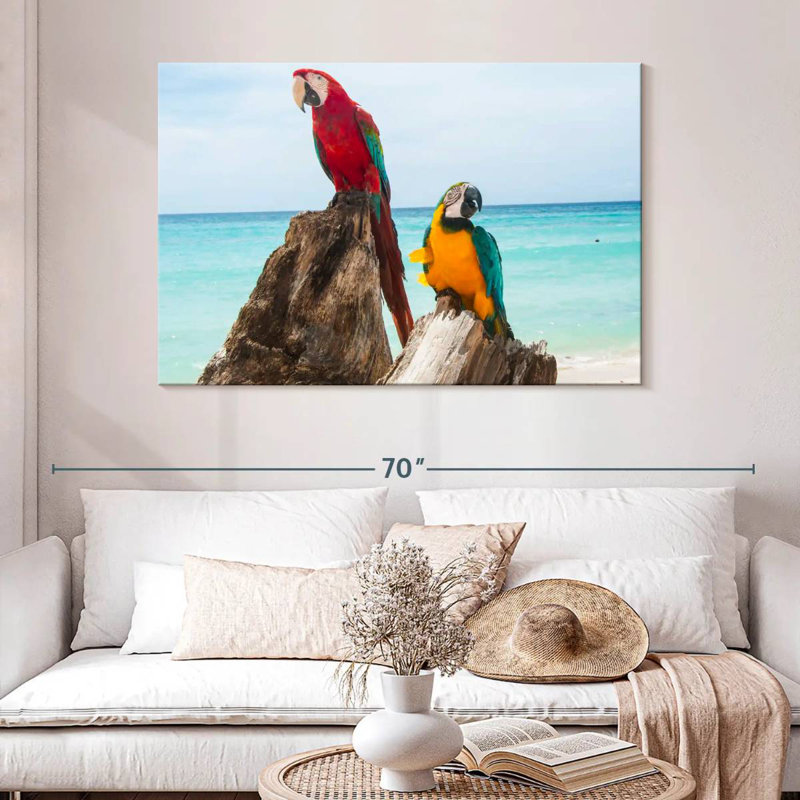 Brampt Resting Macaws