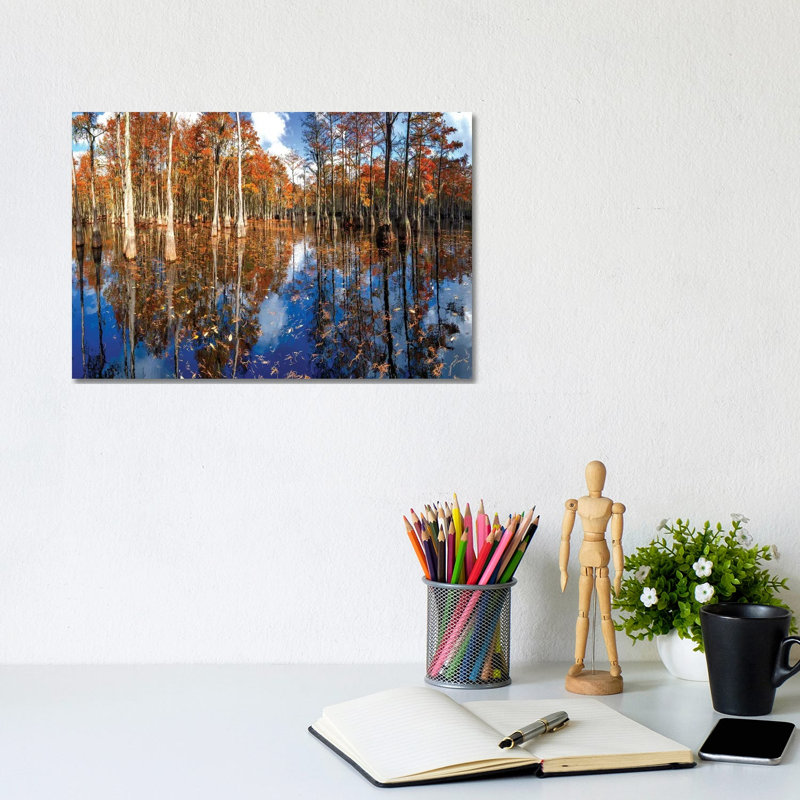 Cypress Swamp George L. Smith State Park, Georgia by OLena Art - Wrapped Canvas Print, 20.32 cm H x 30.48 cm W