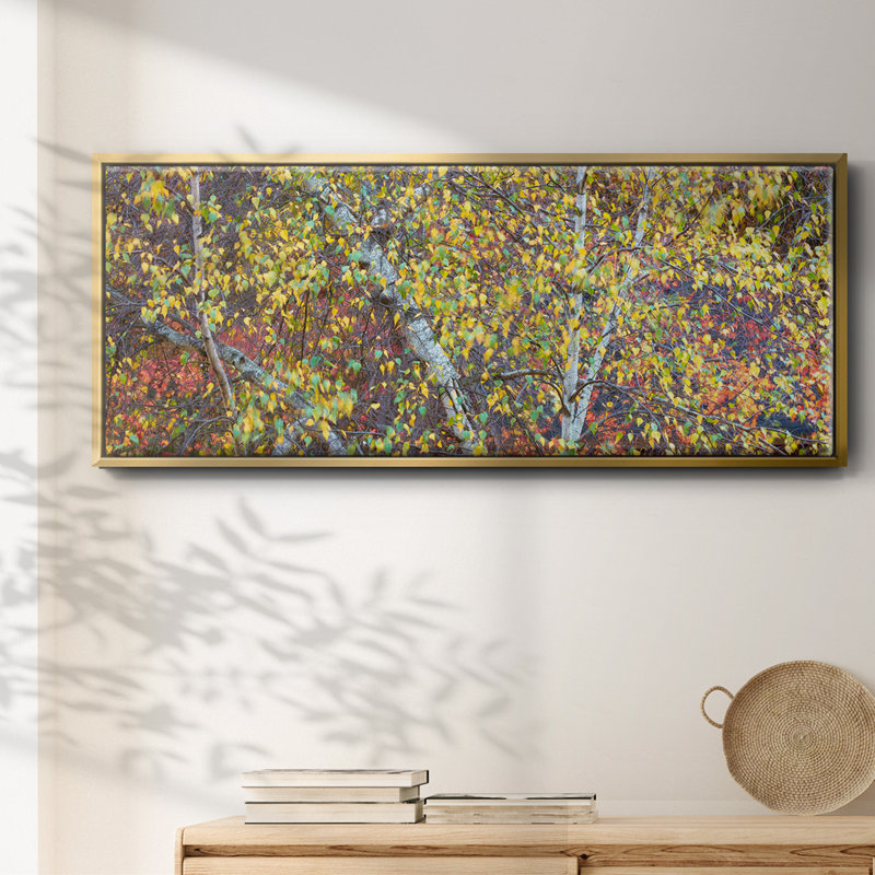 Tree Panorama IV- Framed Canvas, 20" H x 50" W