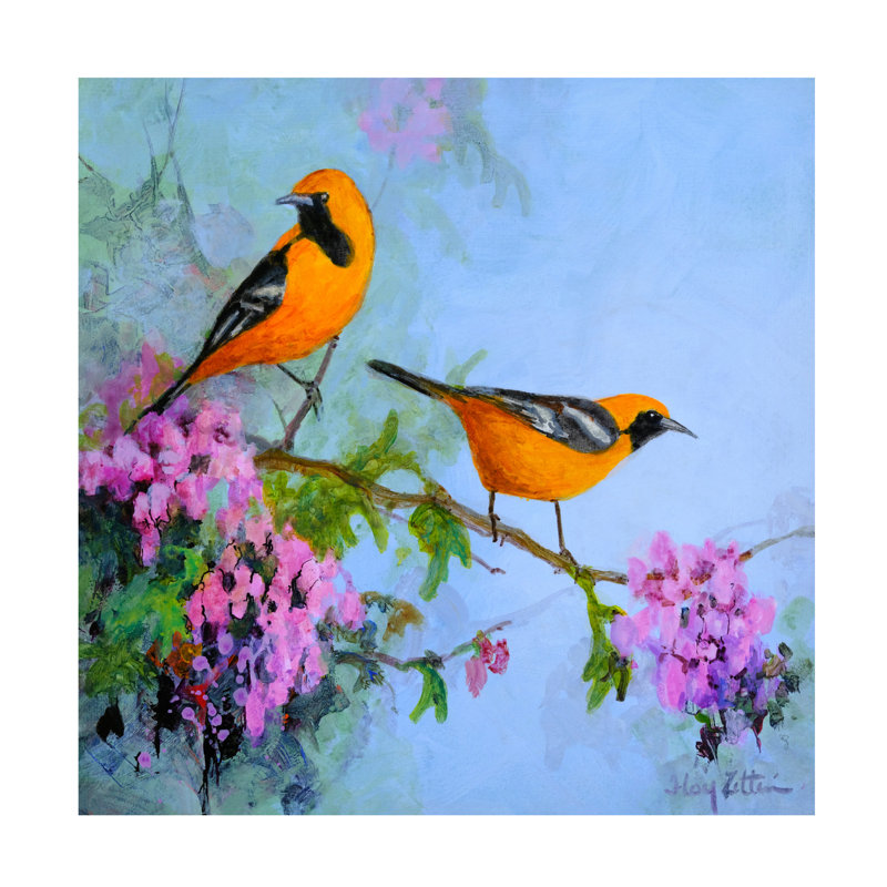 Toile tendue - Floy Zittin «Hooded Oriole Study», art mural pour salon, chambre à coucher ou bureau - 18 x 18
