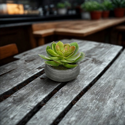 4.5'' Faux Succulent Plant in Ceramic Vase