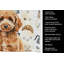 Serviette de cuisine Coffee Bar-1234934459