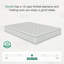 Arien 20cm Memory Foam Pocket Sprung Mattress-705866305