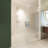 Frameless Shower Door