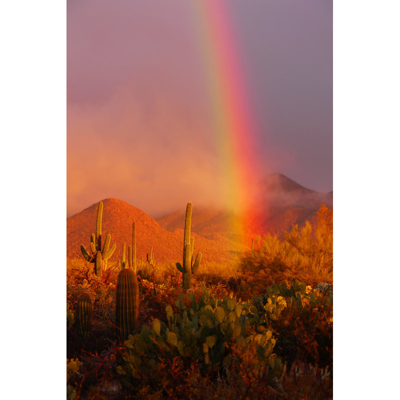 Rainbow Sunset - Wrapped Canvas Print, 91cm H x 61cm W x 3.8cm D