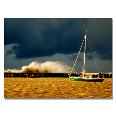 Lake Erie Storm' by Nicole Dietz Framed Photographic Print on Wrapped Canvas -  Trademark Fine Art, ND057-C1824GG