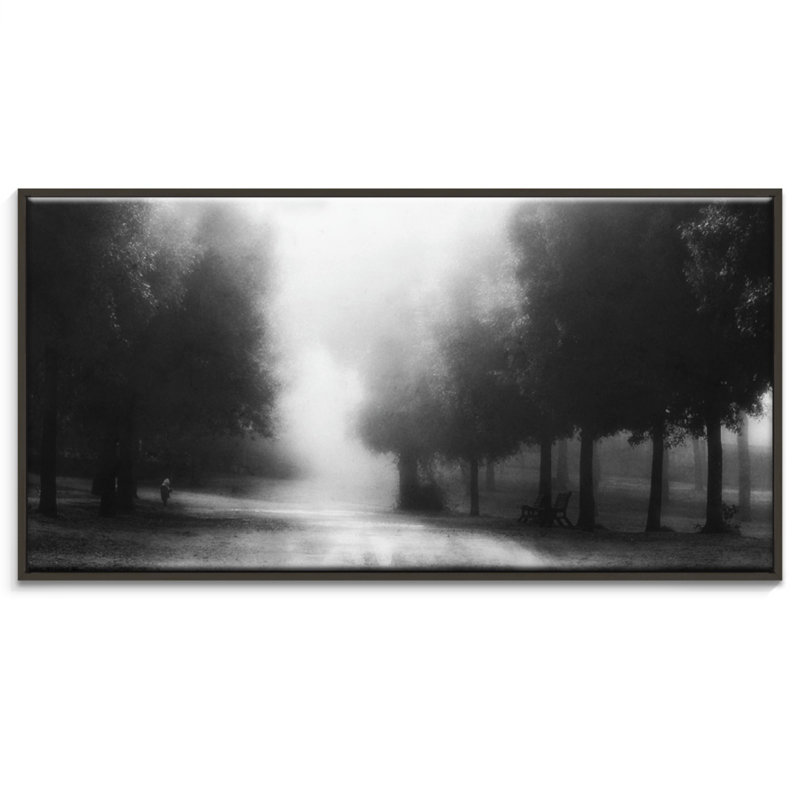 Print on Canvas, Black, 51cm H x 102cm W