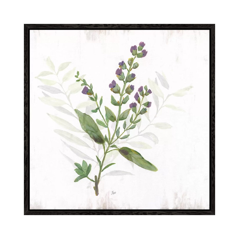 Kitchen Garden II by Nan - Print on Canvas, Black Framed, 93.98 cm H x 93.98 cm W