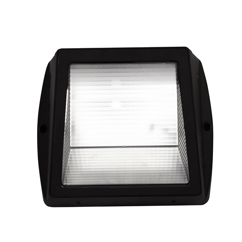 RP Lighting Wall Pack with Semi Cut-off