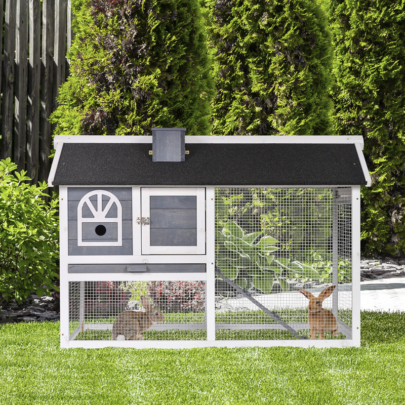 Tucker Murphy Pet™ Reza Weather Resistant Rabbit Hutch with Ramp ...