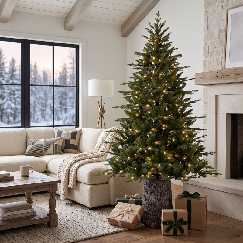 Sapin de Fraser Jasper Elite avec DEL