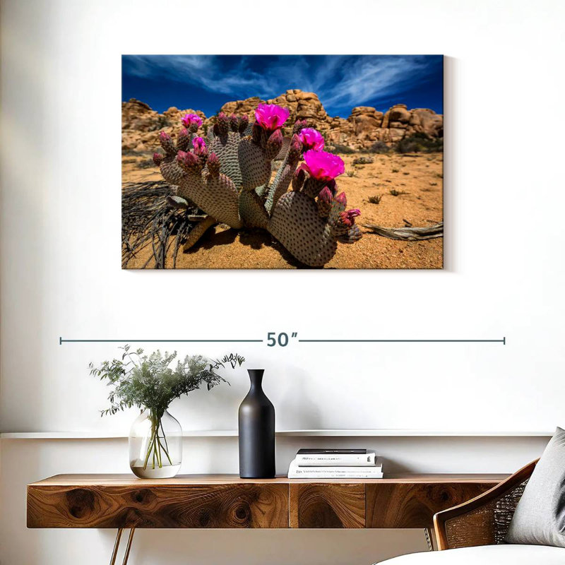 Cactus Harnek Beavertail, H 24 po x l 36 po
