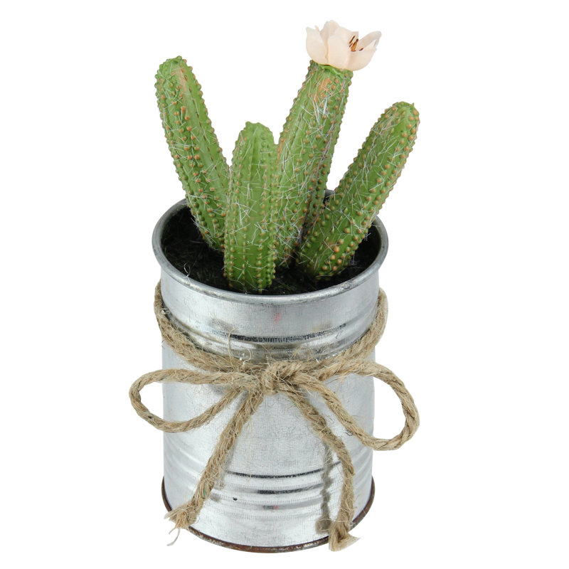 Mini cactus artificiel vert 6 po avec pot en ficelle
