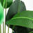 Faux Banana Leaf Tree in Pot Liner-1802370610