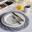 Berry & Thread French Panel Dinner Plate-28640536