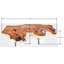 Solid Wood Coffee Table