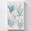 "Sea Coral Collection I" par Carol Robinson, reproduction sur toile-801873314