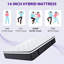 Matelas pour canapé-lit en mousse à mémoire de forme moyenne 14 po Alwyn Home Antwi-485456257-535792243