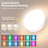 2-Light Night Light