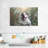 Brampt Nature Dog-107845347