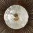 Metal Capiz Wall Decor