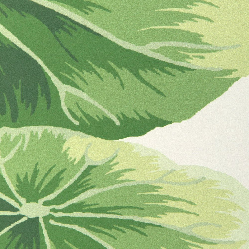 Lotus Pond Wp - Noir, Multi