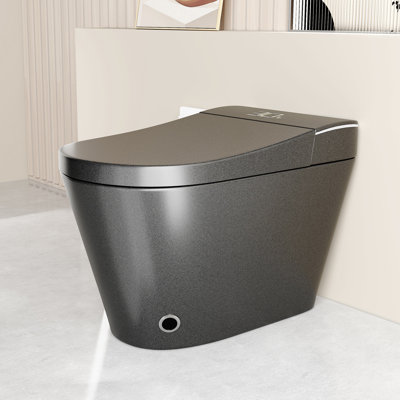 Smart Toilet Bidet, Auto Open/Close Seat,With Dryer And Warm Water