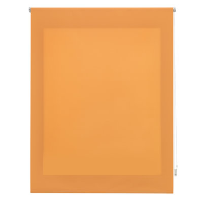 Semi Sheer Roller shade